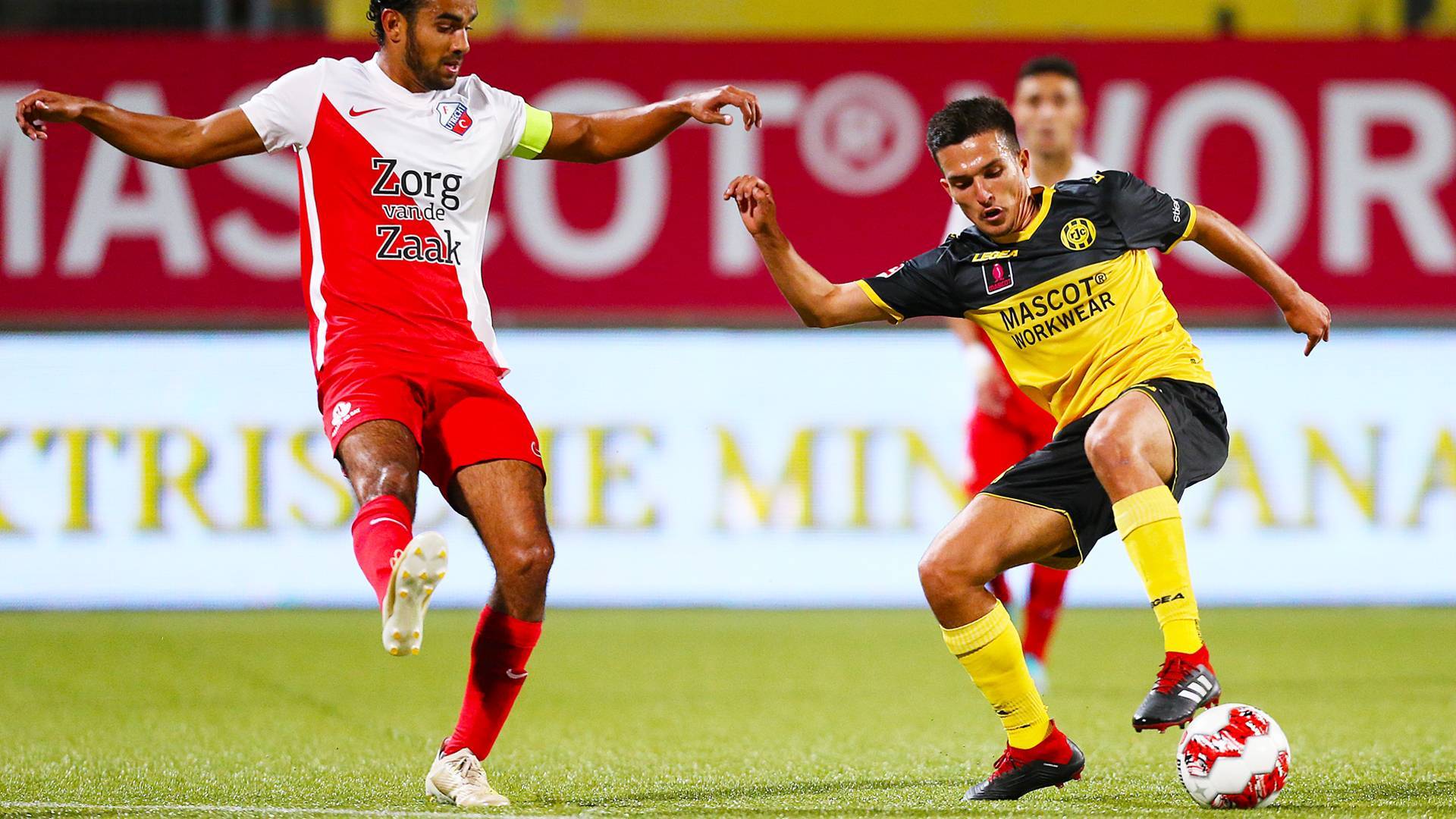 冠增添了浓 冠增添了浓